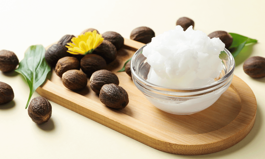 Shea Butter Lotion vs. Regular Lotion: Why Deep Nourishment Matters in Winter’s Final Stretch