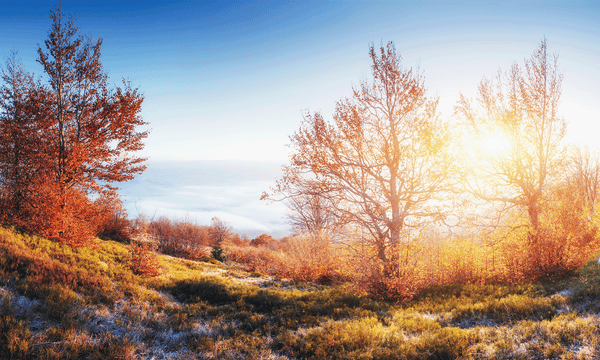 Seasonal Foot Care Tips - Your guide to healthy feet all year round!