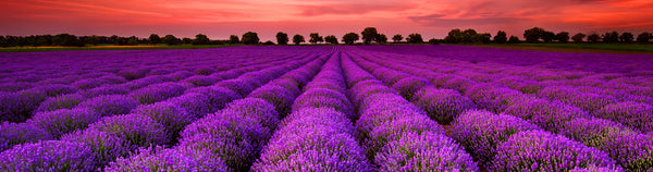 AromaSpa
